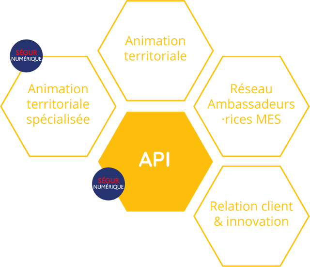 Illustration représentant sous forme d'alvéoles, le département API du groupement e-santé Occitanie.