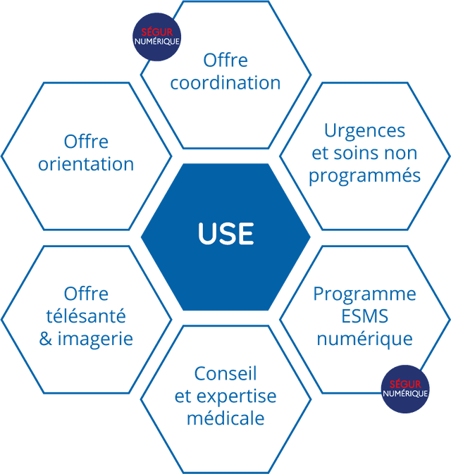 Illustration représentant sous forme d'alvéoles, le département USE du groupement e-santé occitanie.