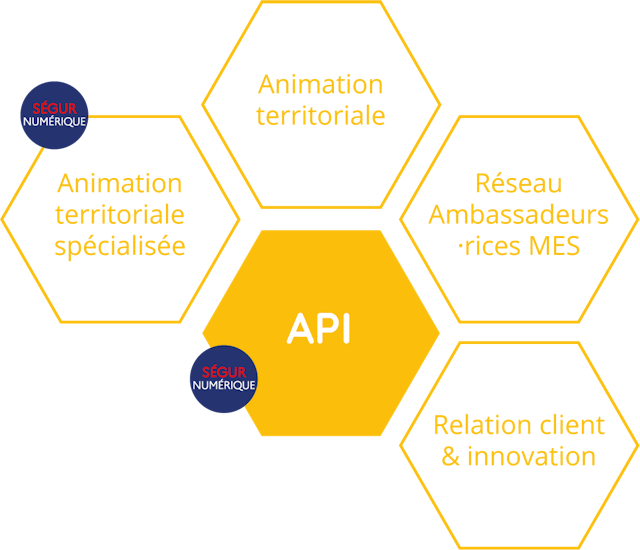 Illustration représentant sous forme d'alvéoles, le département API du groupement e-santé Occitanie.