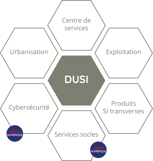 Illustration représentant sous forme d'alvéoles, le département DUSI du groupement e-santé occitanie.